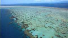 Большой Коралловый Риф